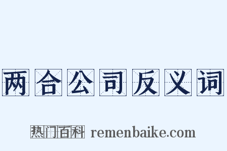 两合公司反义词是什么意思的图片